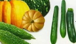 鳌山吃瓜,揭秘吃瓜背后的故事与真相